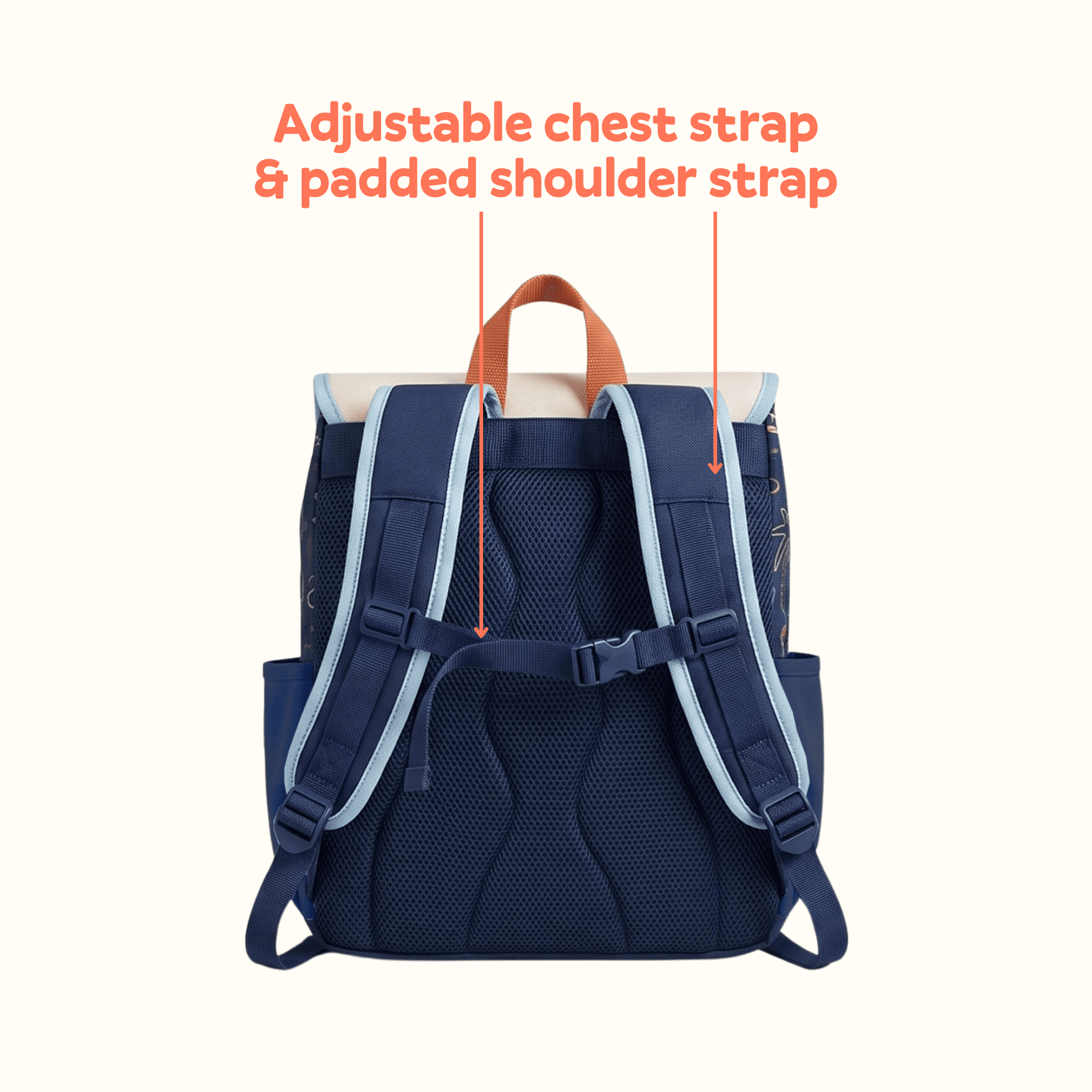 Chest & Straps